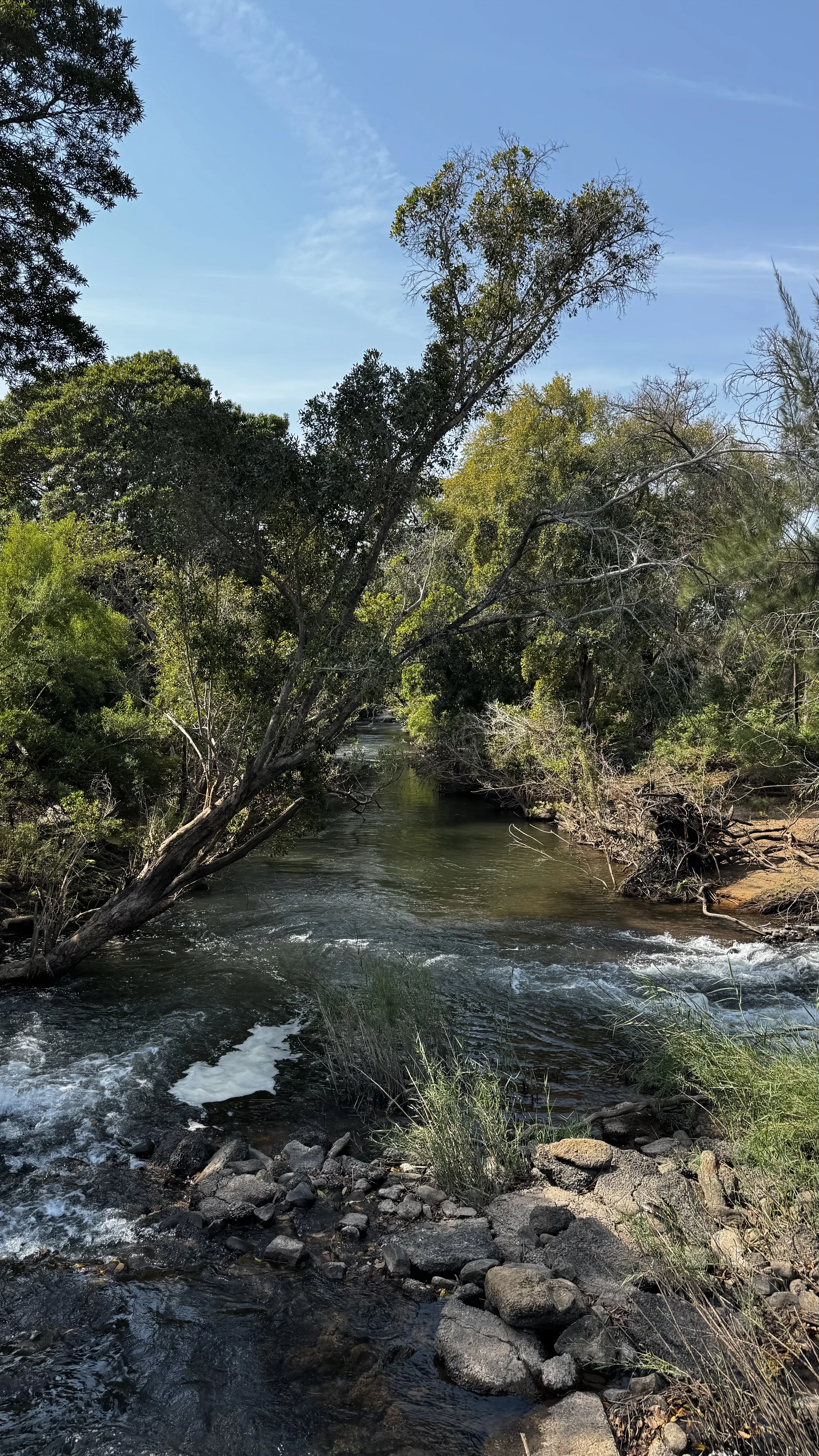 Shallow falls by FlexFootage creator