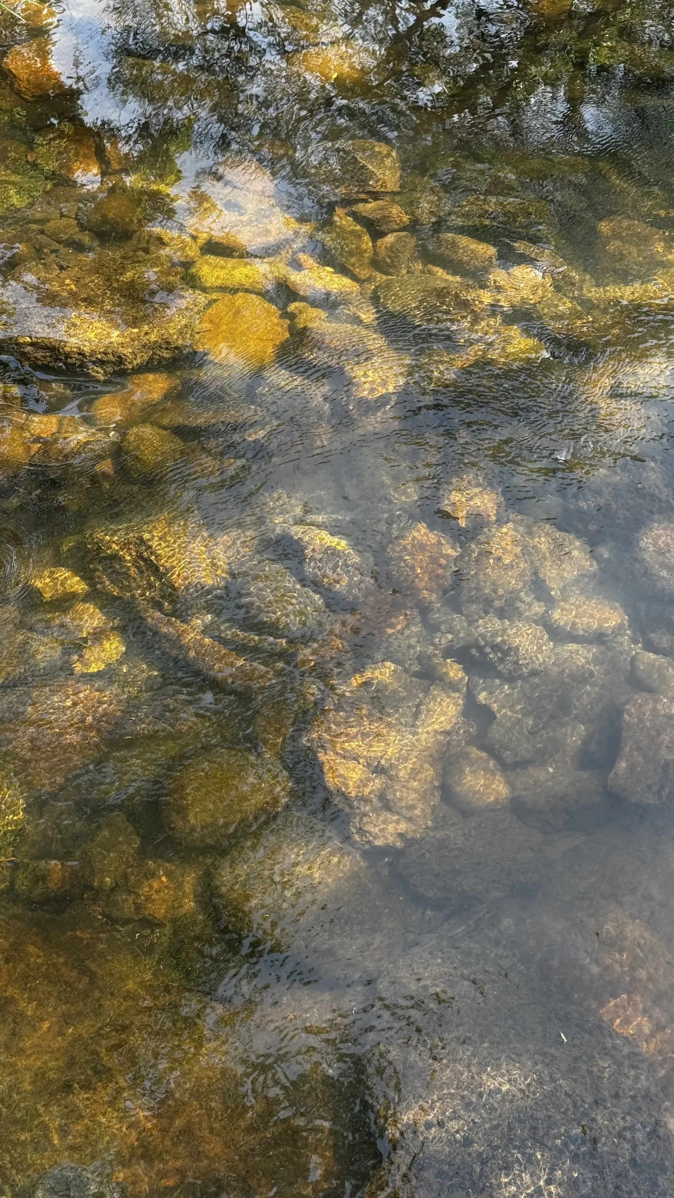 Clear water by FlexFootage creator