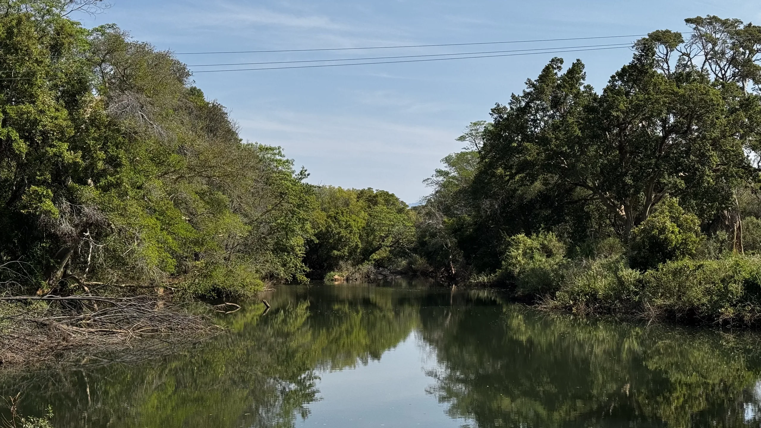 Reflective River by FlexFootage creator