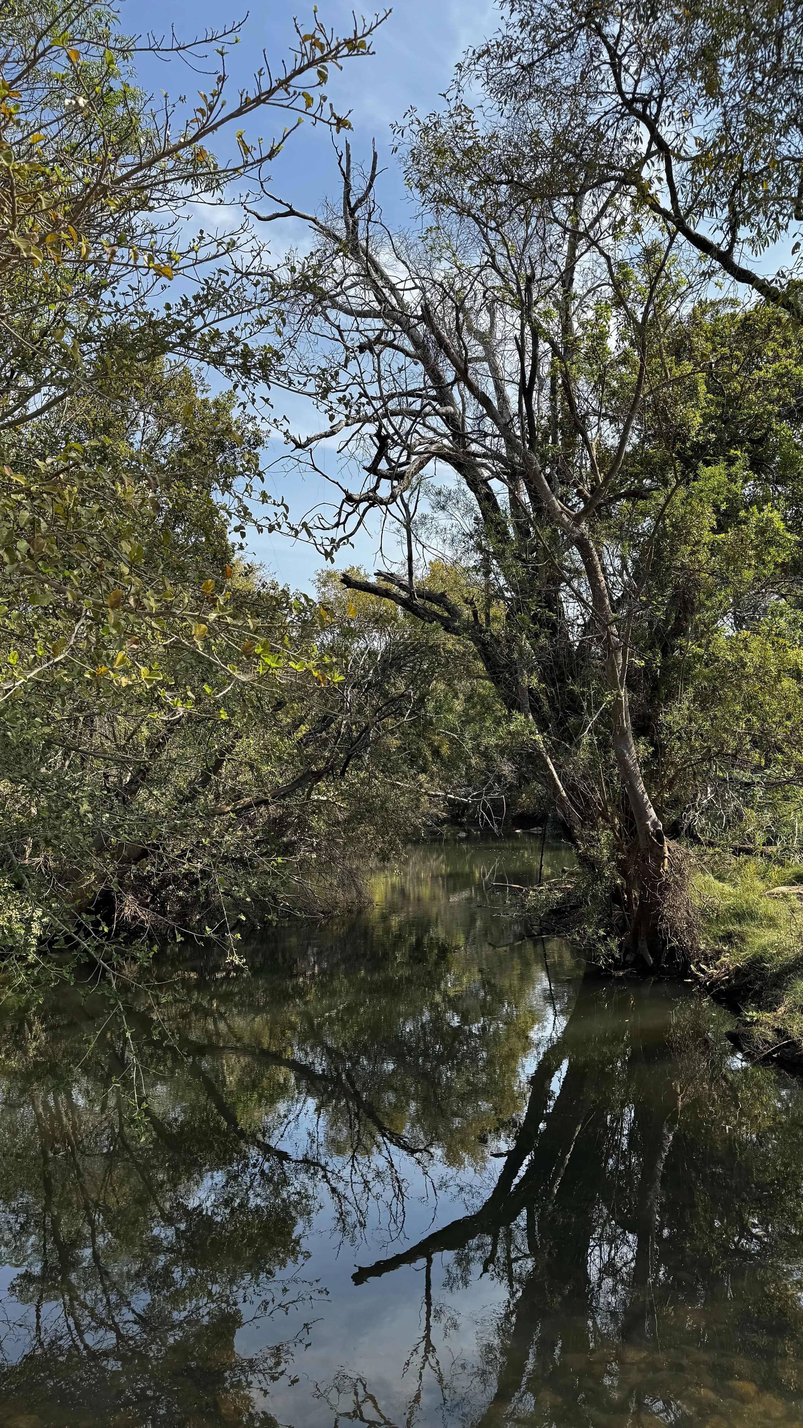 Serene Waters by FlexFootage creator