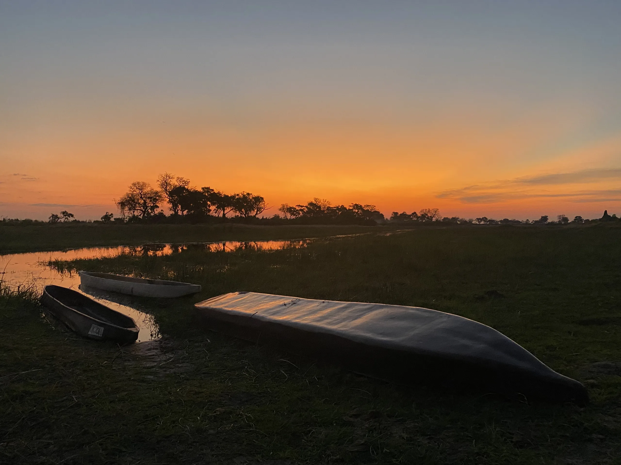Botswana Dugout Canoes by Sagan Cowne