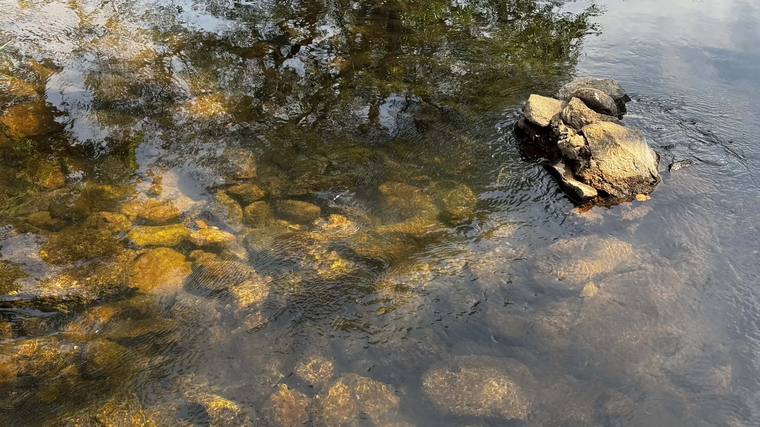 Shallow River by FlexFootage creator