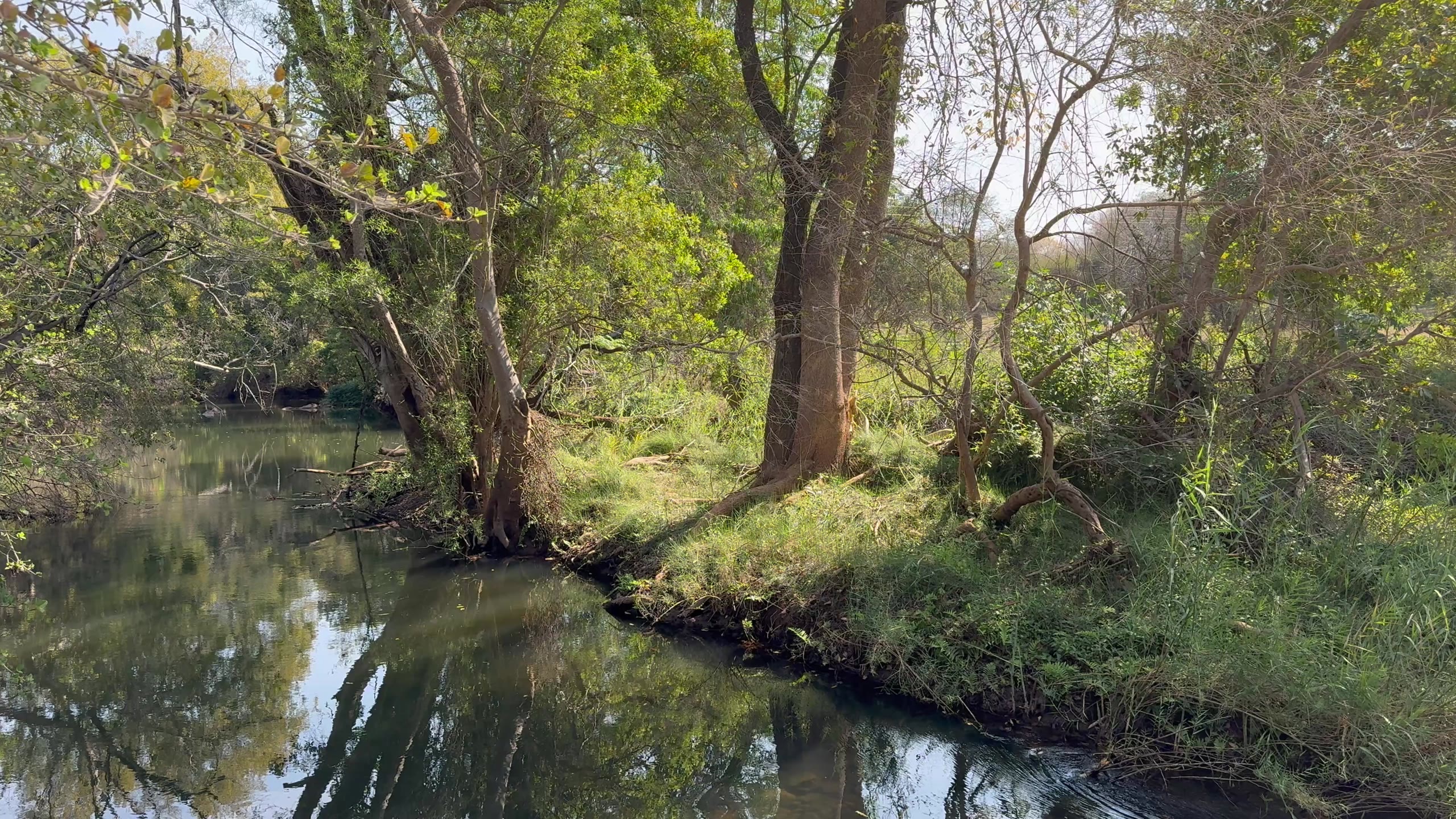 Serene Riverside view by FlexFootage creator